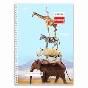 Trison Spiral Notebook A4-6 subjects separator - Single line, soft ...