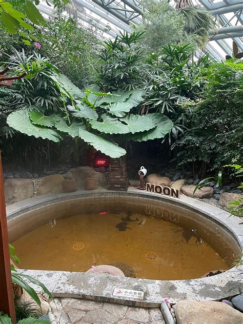 SHERATON HUZHOU TAIHU LAKE HOT SPRING RESORT & SPA (Zhejiang) - Hotel ...