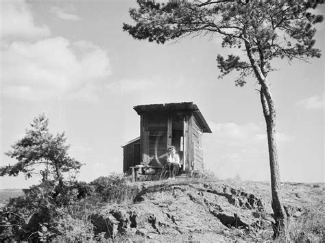 Tove Jansson. Tales from the Nordic Archipelago | Meer