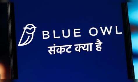 दुनियाभर के शेयर बाजार की Blue Owl ने उड़ाईं नींद, क्या है ये? क्यों ...