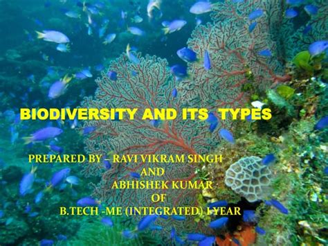 Biodiversity 的图像结果