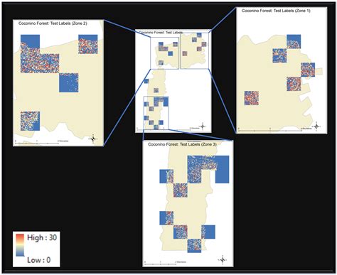 Canopy Height Estimation at Landsat Resolution Using Convolutional ...