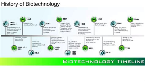 Drawing of the Progression of Biotechnology 的图像结果