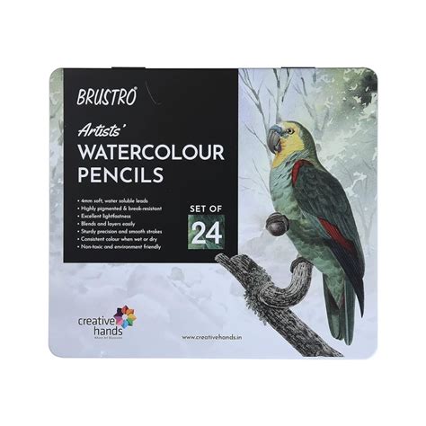 BRUSTRO, Watercolour Pencil - ARTISTS' | Set of 24. – OXFORD stationers
