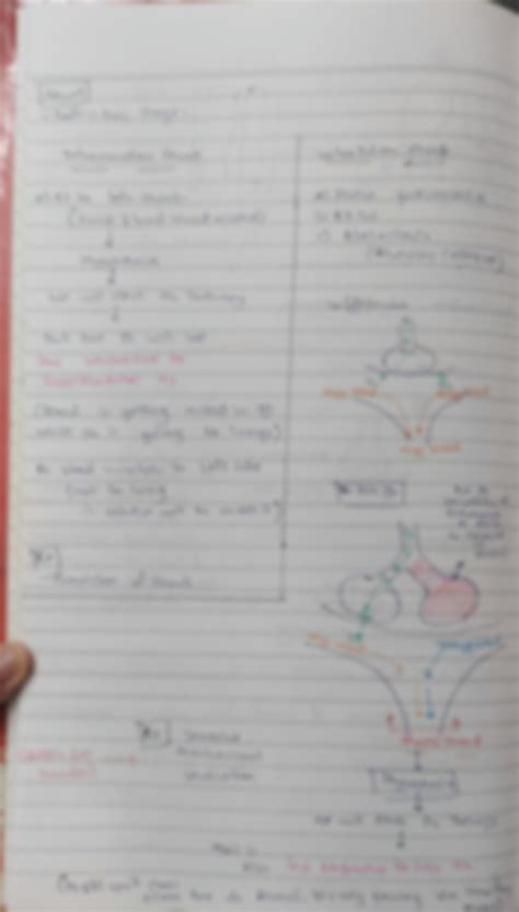 Image result for Dlco Diffusion Capacity