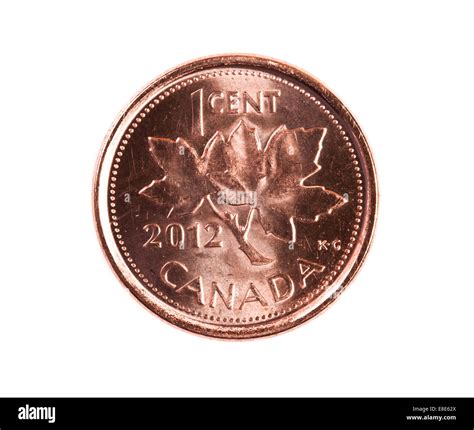 A brand new 2012 shiny Canadian one cent coin with the national symbol ...