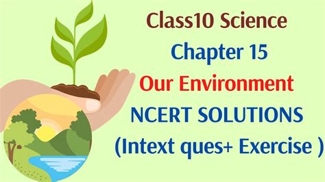 Class 10 15 Th Week Assignment Home Science 的图像结果