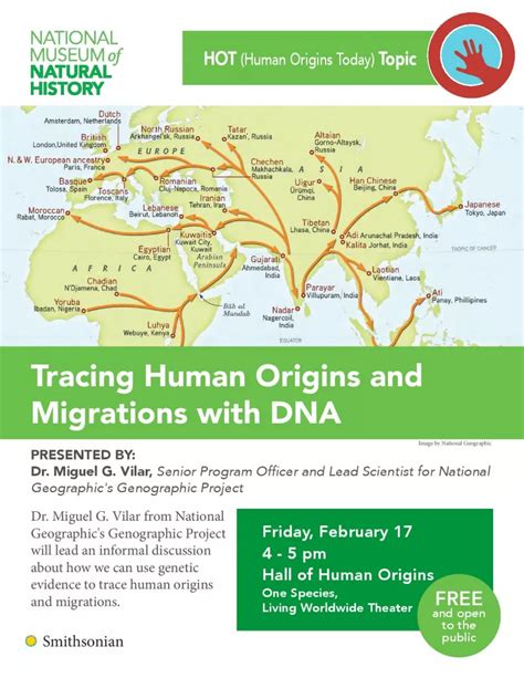 Human Origins Explained 的图像结果