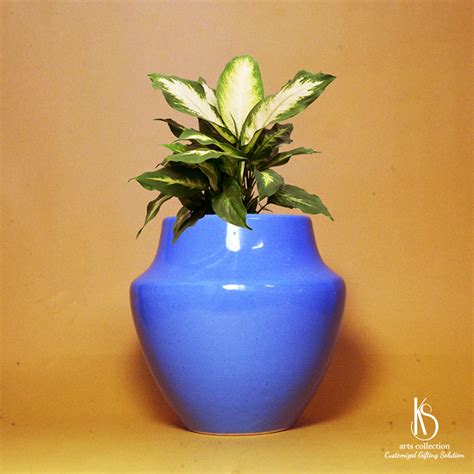KS Indian Classic Ceramic Planter – KS ARTS COLLECTION