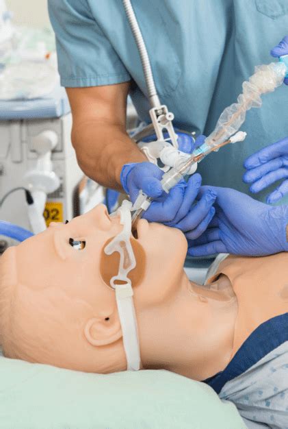 Respiratory Therapy Training Programs 的图像结果