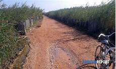 smaltimento traversine ferroviarie traversine ferroviarie a torre guaceto quot sono un rischio smaltimento traversine ferroviarie traversine ferroviarie a torre guaceto quot sono un rischio