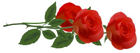 Red Roses Clip Art