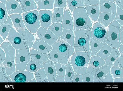 Microscopic View 的图像结果