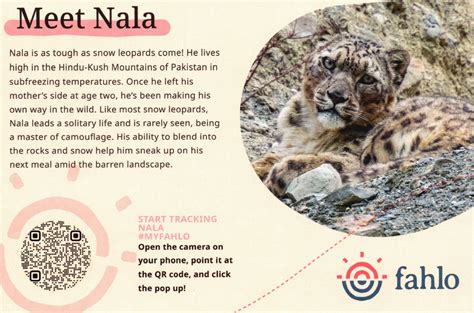 110 Fahlo ideas in 2025 | qr codes animals, coding, qr code