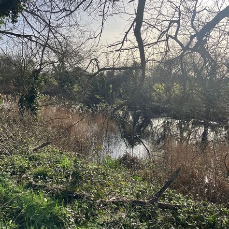 ROYAL MILITARY CANAL, WEST HYTHE (2025) All You Need to Know BEFORE You ...