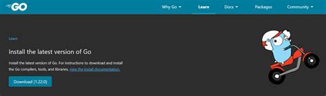 Image result for Go Programming Language Download