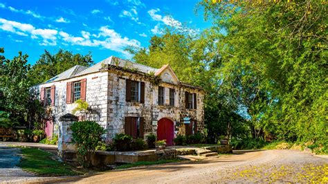 Your Guide To Exploring Good Hope Estate, Jamaica | Sandals