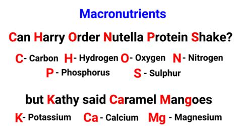 Mnemonics: Mineral Nutrition (Old NCERT) - Crash Course for NEET PDF ...