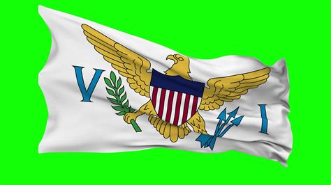 US Virgin Islands Flag Waving Seamless Loop in Wind, Chroma Key Green ...