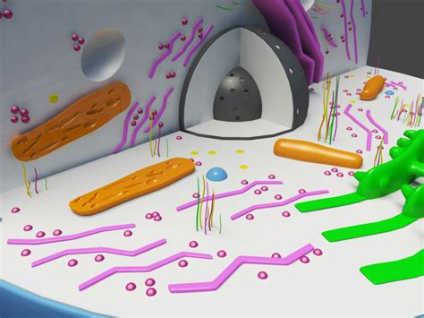 Cell Model 的图像结果