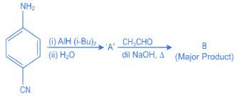 JEE Previous Year Questions (2021-2025): Compounds Containing Nitrogen ...