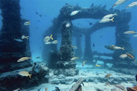 La inquietante belleza de Neptune Memorial Reef, un cementerio ...