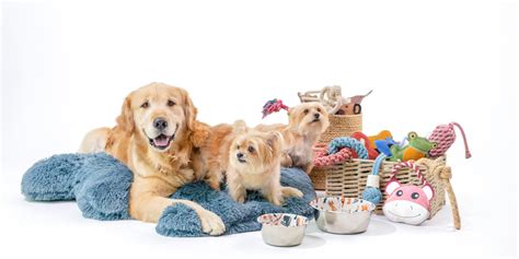 Build Your Own Bundle – Pawpourri