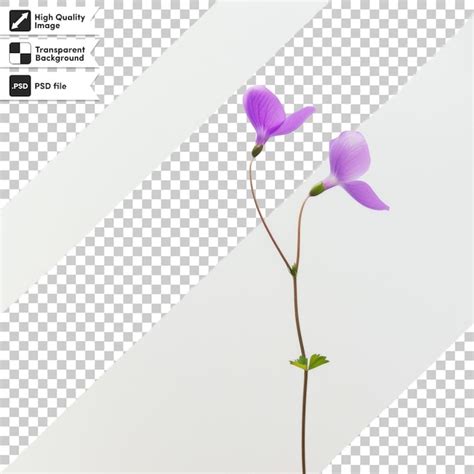 A picture of a flower with the words spring on the bottom | Premium AI ...