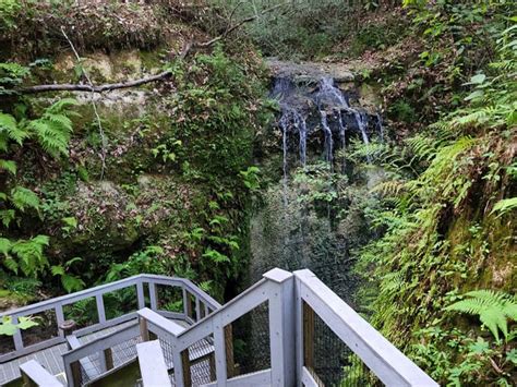 Image result for Florida State Waterfall Map