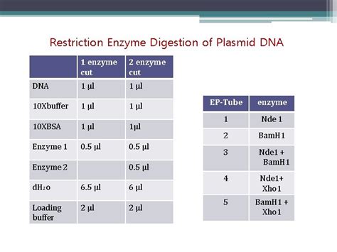 Circular Restriction Mapping 的图像结果