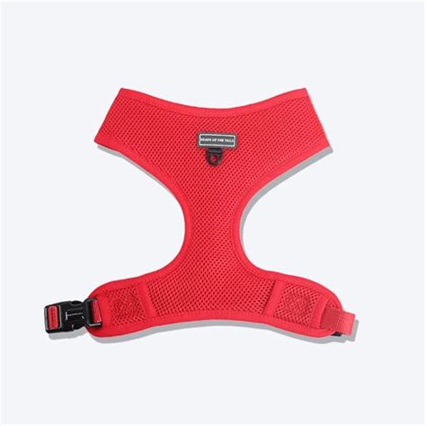 Amazon.in: Heads Up For Tails: Harnesses