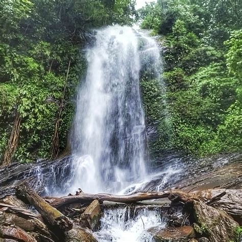 Visit Hidlumane Falls In Shimoga To Trek | LBB, Bangalore