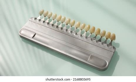 Image result for Color Shade Chart