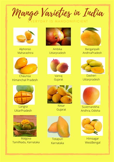 Image result for Mango Types Mango Varieties
