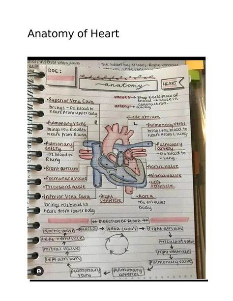 Heart and its structure - Nursing - Anatomy of Heart Structure of heart ...