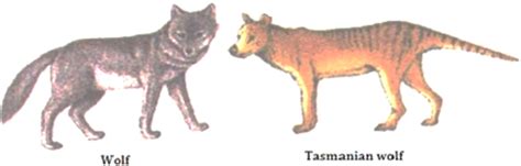 Refer to the figure given below and answer the questions that follow: i ...