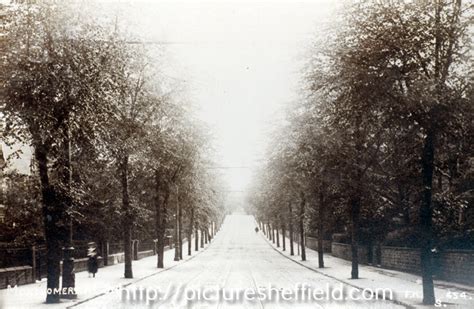 Searching Picture Sheffield