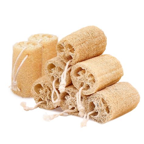 Natural Loofah Sponges Individually Wrapped, Non Scratch Organic Luffa Sponge With Hanging Rope ...