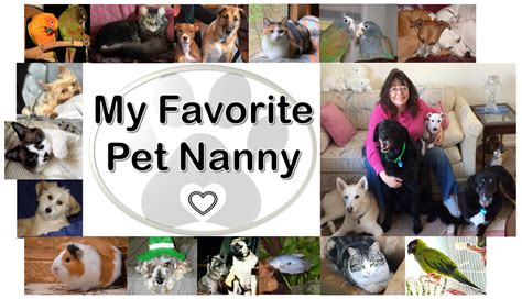 Blog | My Favorite Pet Nanny