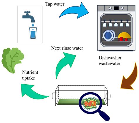 Home Sweet Home: Setting the Best Thriving Conditions for the Ad Hoc ...