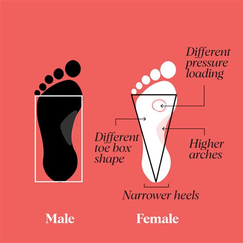 Explained: The Difference Between Men's and Women's Soccer Boots – idasports.com