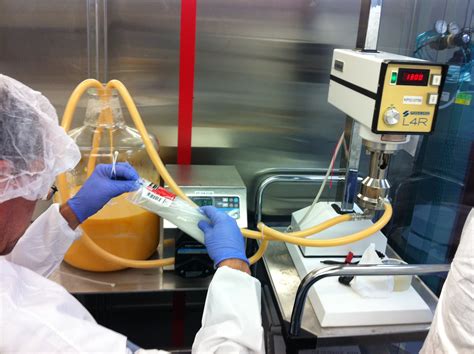 Image result for Formulation Development