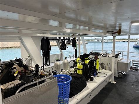 TURKS & CAICOS AGGRESSOR Guide (2026) All You Need to Know BEFORE You ...