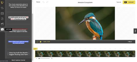 Image result for How to Create Srt File