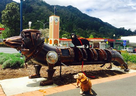 THE BEST Parks & Nature Attractions in Te Aroha (w/ Photos)