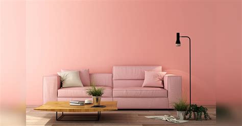 Peppy Pink | LBB