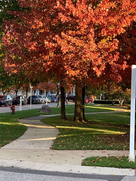 About the Village – Cherry Hill Village HOA