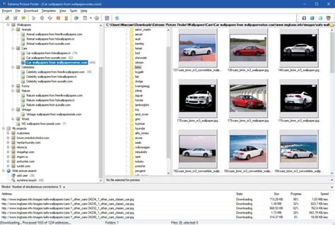 Extreme Picture Finder Review: A powerful Web Image Downloader Tool ...