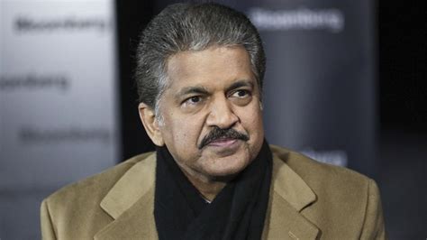 Anand Mahindra shares adorable video of penguins marching together ...