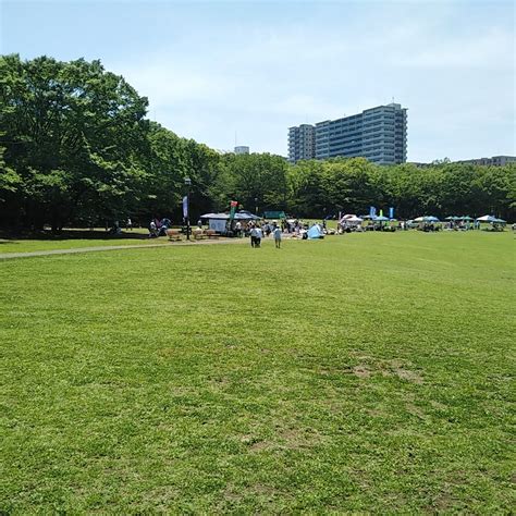 TAMA CENTRAL PARK (2025) All You Need to Know BEFORE You Go (with ...